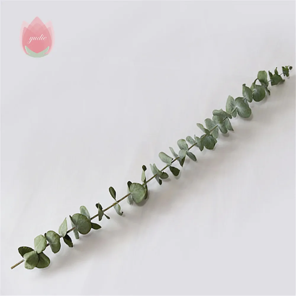 10/20 шт. натуральный эвкалипт для листьев сушеные цветы украшения сделай сам дома