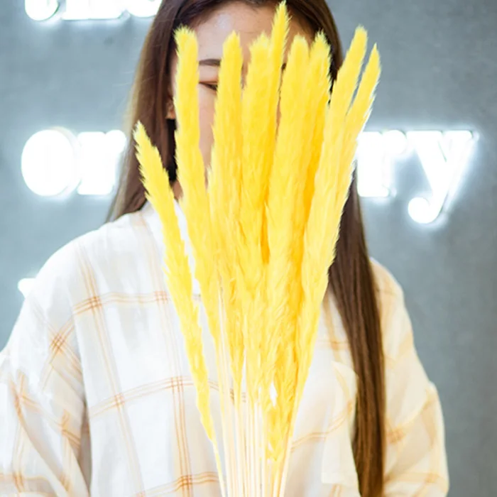 Горячая 15 шт. сушеные небольшие пампасы трава Phragmites украшения для дома отеля свадьбы TI99