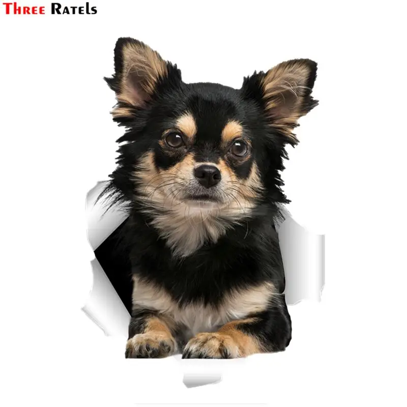 

Three Ratels QD48 Cute 3D Torn Metal Design Chihuahuas Dog Sticker On Car