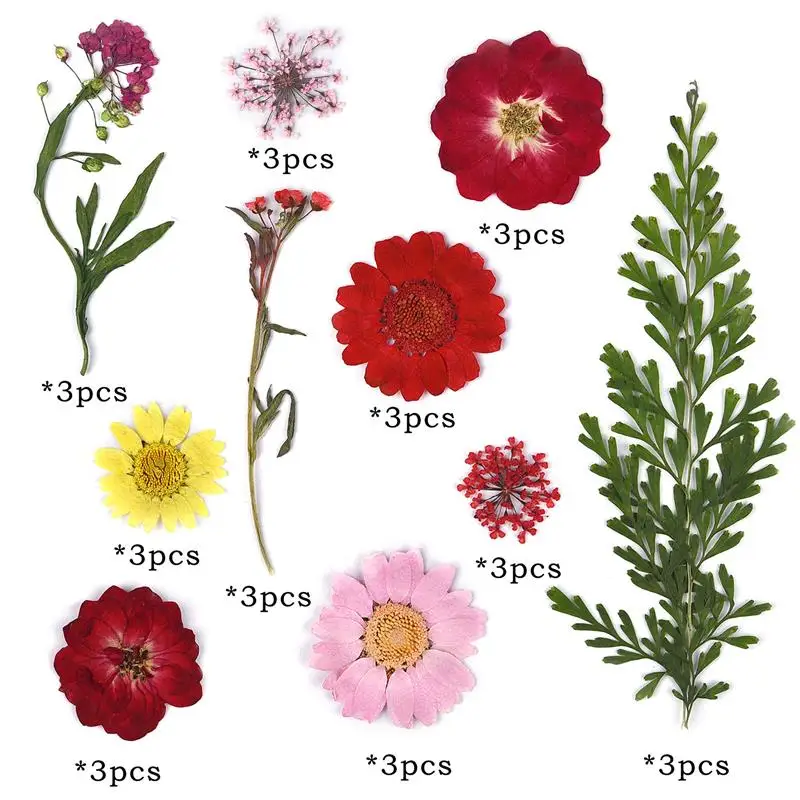 Сухие растения из эпоксидной смолы для изготовления кулонов ювелирных изделий