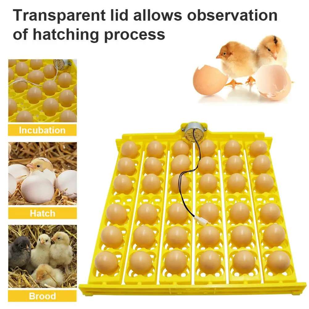 

Новый инкубатор для 63 яиц, поворотный лоток, инкубационное оборудование для птицы, кур, уток и других птиц, автоматический поворот яиц