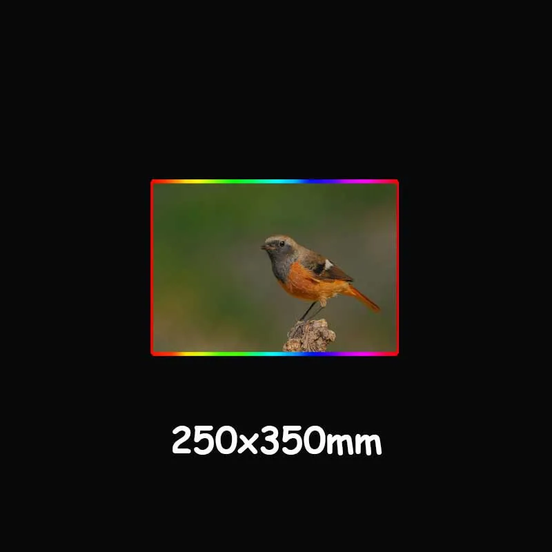 XGZ животное птица HD большая RGB игровая мышка с подсветкой Pad черный замок края