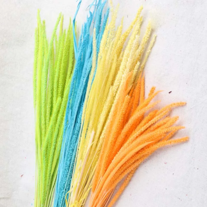 45 см спасательный цветок сухоцветы букет Подарочный Вечные цветы тростниковые