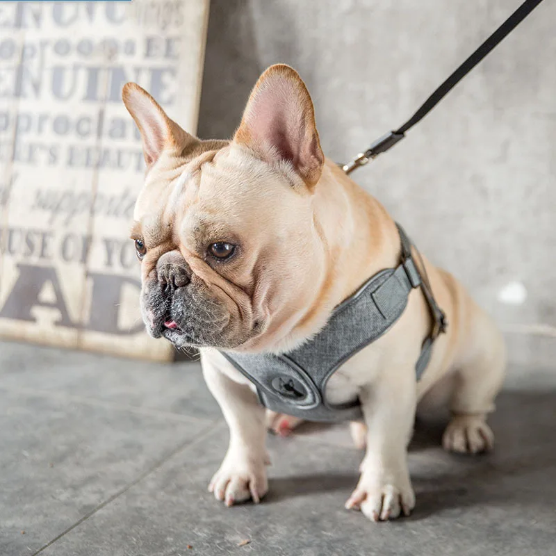 X-образный бюстгальтер на бретелях буксировочная веревка для домашних животных