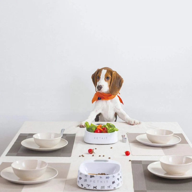 

Orignal PETKIT Pet Fedding Bowl Automatic Weighing Food Dog Food Bowl Digital Feeding Bowl Stand Dog Feeder Drinking Bowls