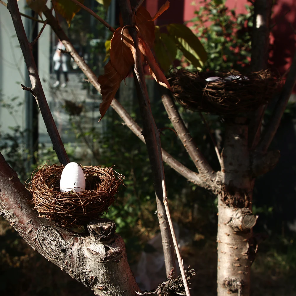 1 компл. Креативная лягушка Виноградная плетеная искусственная солома