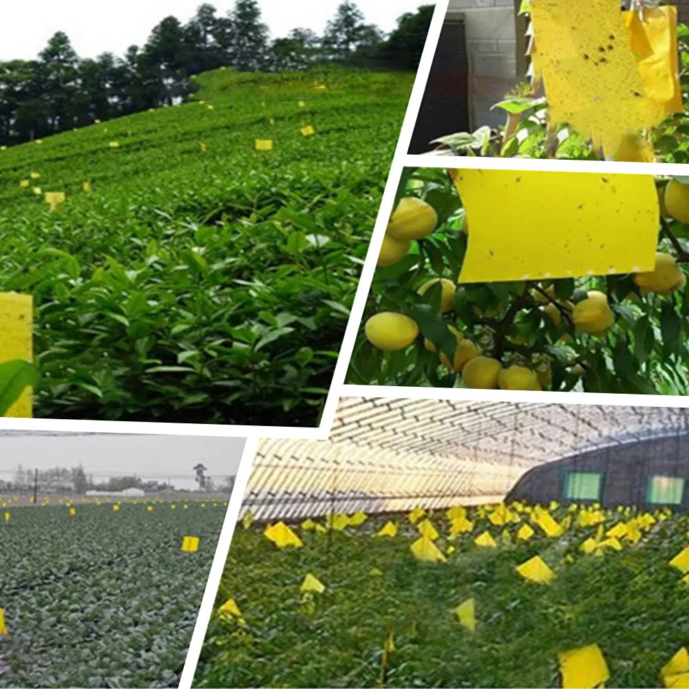

20PCS Yellow Board Trap Insect Sticky Board Double-sided Paper Sticking Sticky Mosquito Garden Greenhouse Outdoor