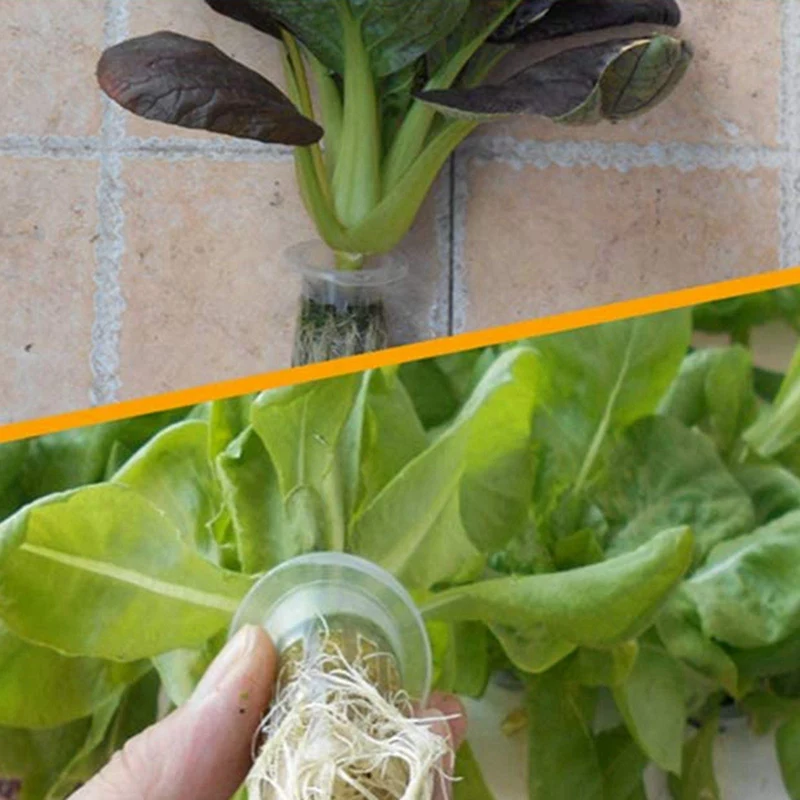 

NEW-100 Pcs Garden Plastic Net Cups & 120Pcs Soilless Hydroponic Gardening Plant Tools Planted Sponge