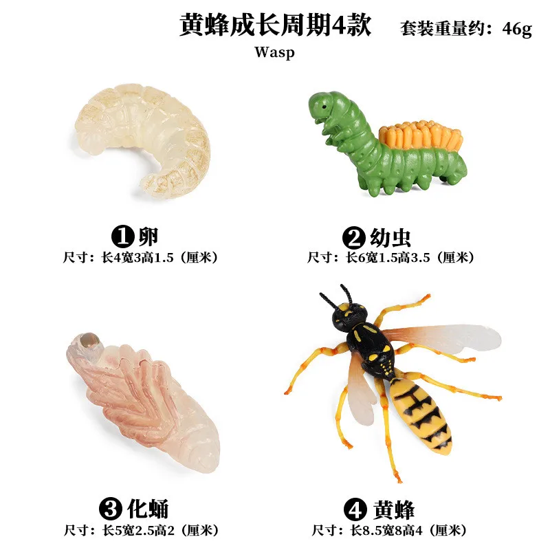 

Simulation Animal Growth Model Cycle ABS Wasp Butterfly Bee Figures Collection Cognition Educational Toys for Children Kids Gift