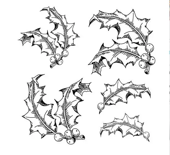 Прозрачный силиконовый штамп с листьями падуба/печать для скрапбукинга своими