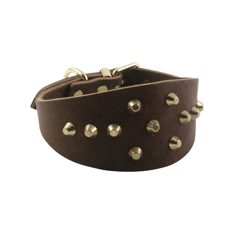 

Leather Dog Collar With Spikes Studded Wide Cool Punk Medium Large Big Dog Collars Spiked Greyhound Whelloppet Poodle Saluki