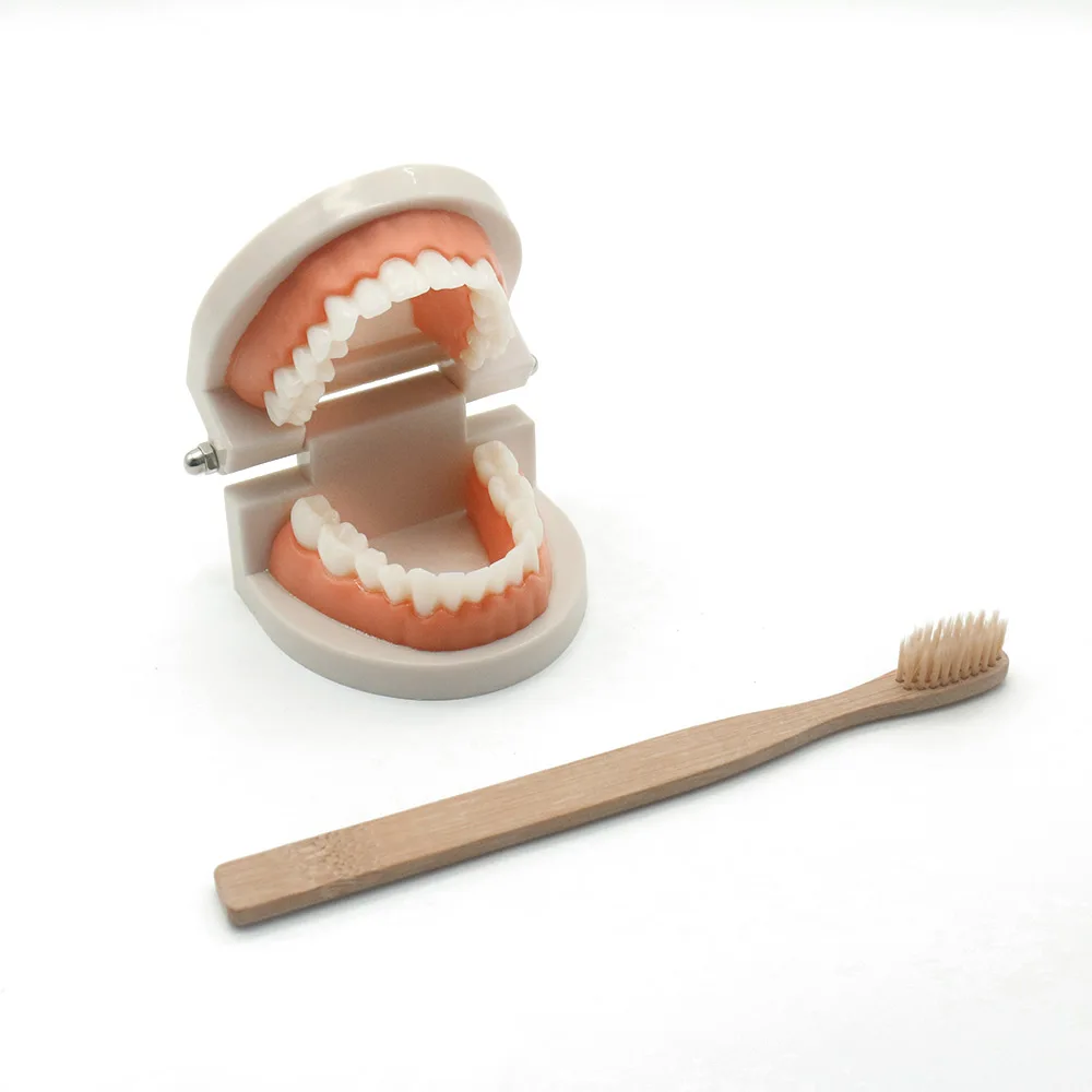 Montessori Teaching Aids Tooth Toy Simulated Teeth Brushing Card Practice Life Skill Brush with Woode Trsy D1586F | Игрушки и хобби