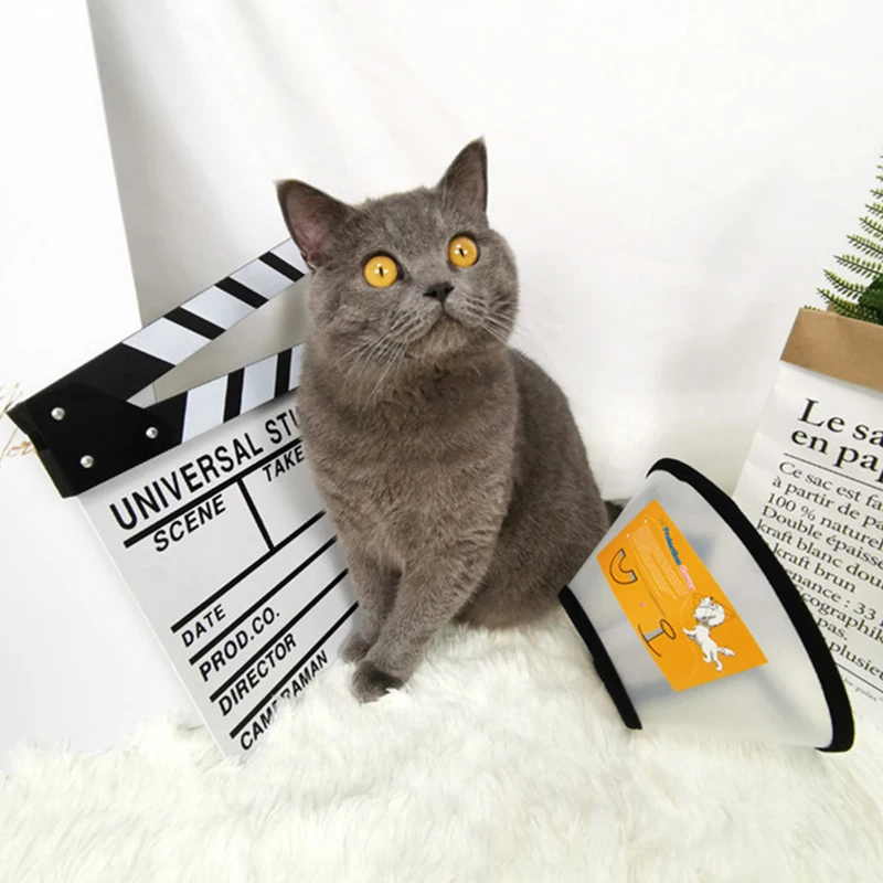 Ошейник для собак конус Регулируемый ошейник восстановления домашних животных