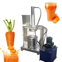 fruit vegetable processing machines industrial cold press apple carrot pear juice making machine for factory