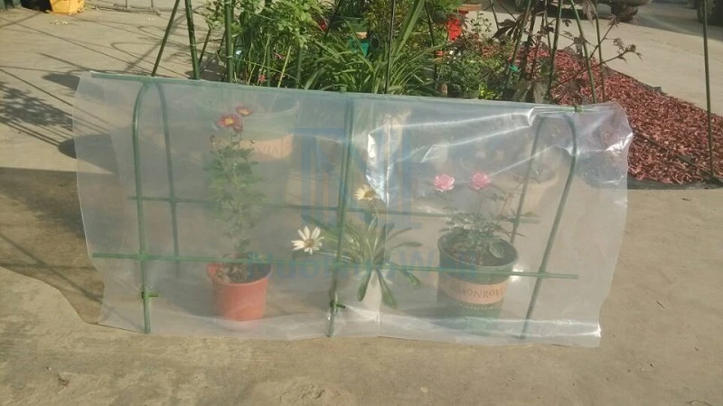 Thicken 0.08mm 1m Width PE Plastic Rainproof Mulch Garden Greenhouse Film Succulent Plants Cover Transparent Thermal Membrane