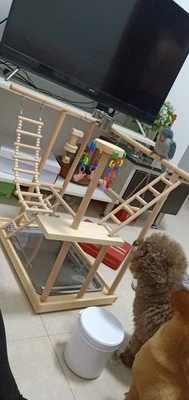 48*33*53 см деревянный попугай игровая площадка жердочка для птицы с лестницы Фидер для попугаев, для кусания игрушки рамка птица стенд клетка птица подвеска мост