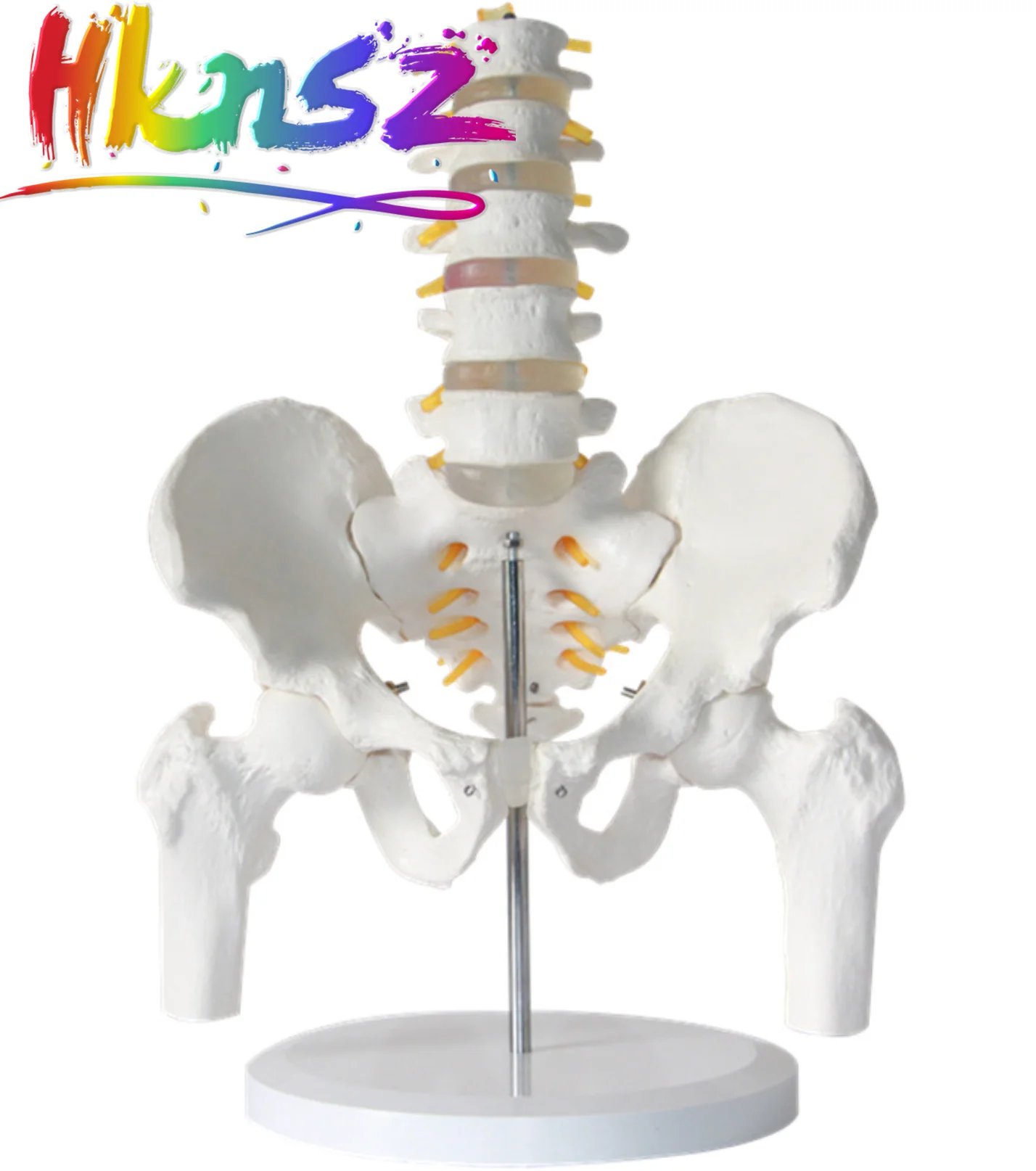 

Educational Equipment & Supplies