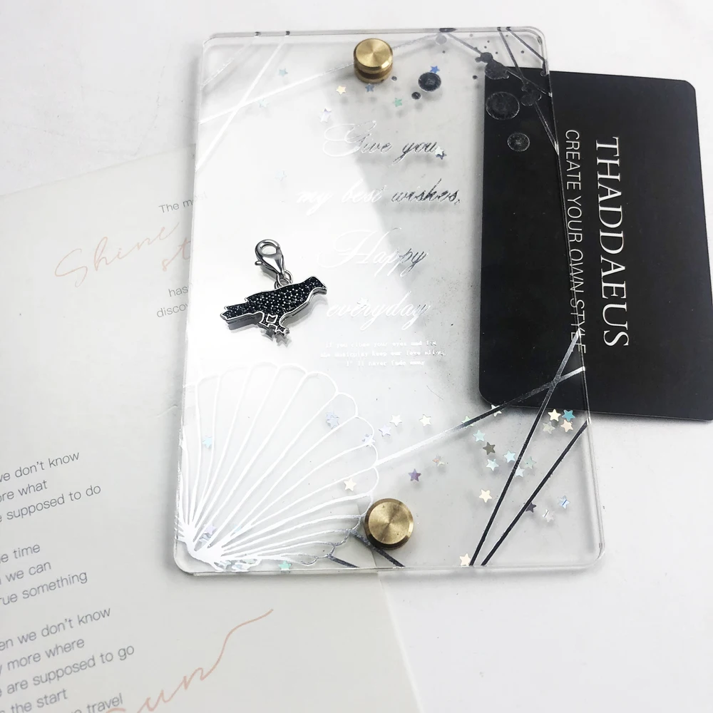 Цепочка с вороном и перьями очаровательная из серебра 2020 пробы для мужчин женщин