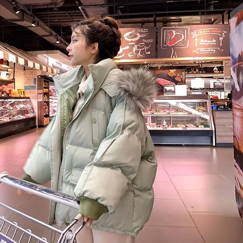 

Стеганый пуховик из хлопка, женский, в Корейском стиле, с хлопковой подкладкой, свободный, сетчатый