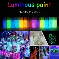 13 colors 20 grams eco friendly without radiation neon phosphor powder dust luminous pigment fluorescent powder glow in the dark
