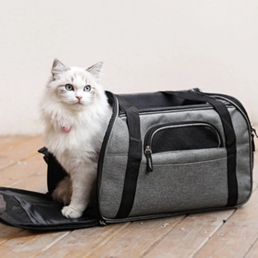 Женская сумка с кошкой для школы и путешествий школьный прозрачный рюкзак