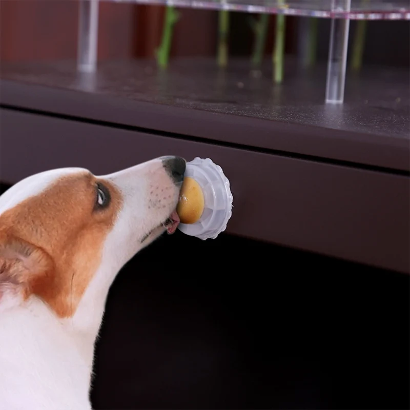 Собака сахар мяч кошка закуски леденцы лижущий твердый питательный