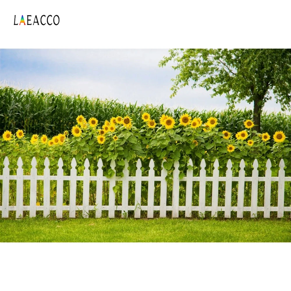 Laeacco подсолнухи забор Свадебные Photocall фотофон студия фотографии фонов фото фон