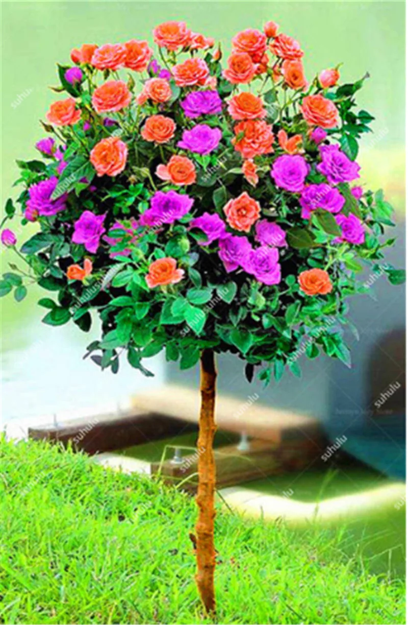 200 шт. искусственная Роза | Дом и сад