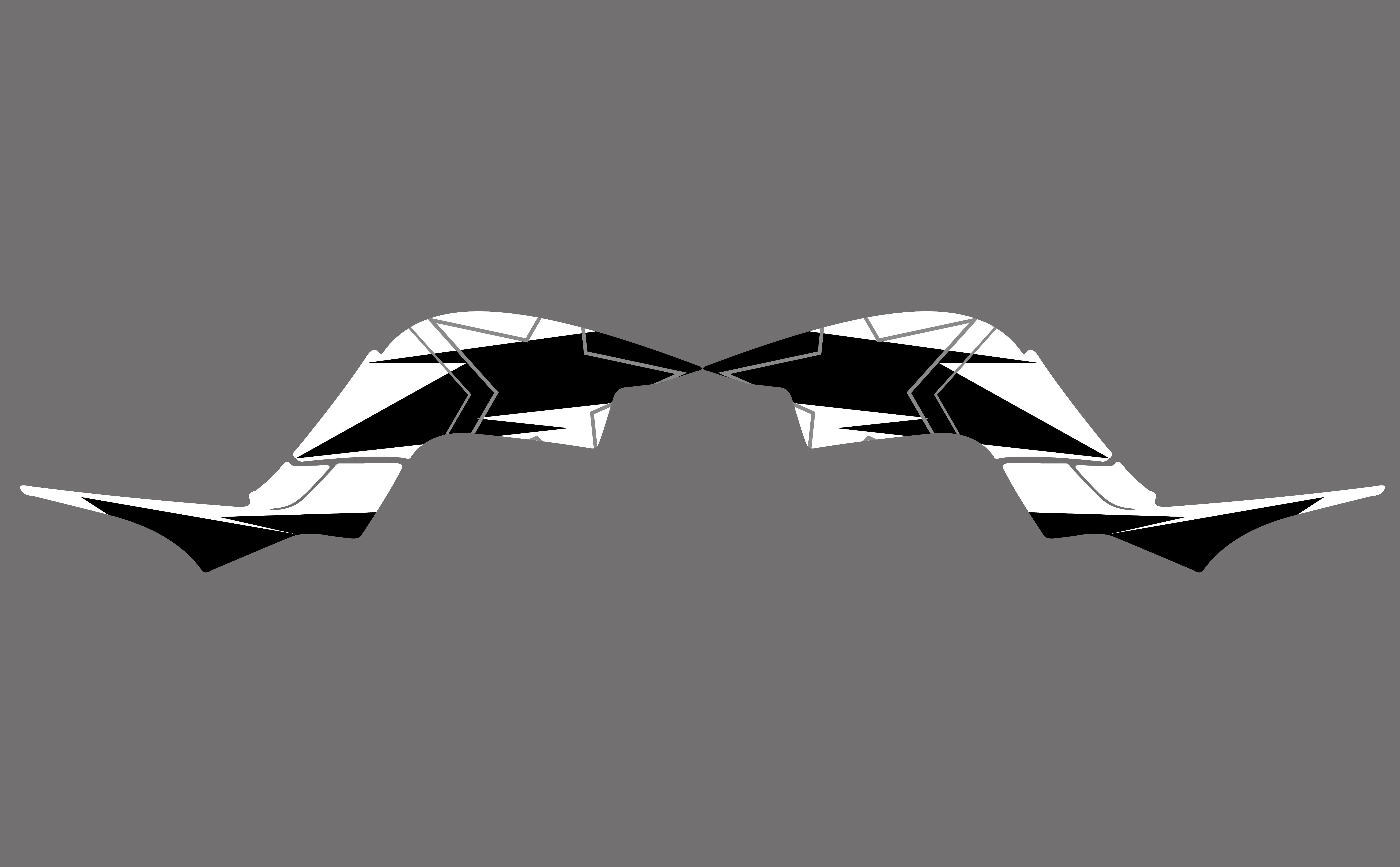 0338 новые стильные наклейки графические наборы подходят для RAPTOR 660 ATV | Автомобили