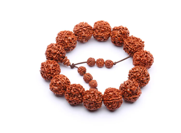 Семена рудракша 18 мм с пятью лепестками бусины для учеников Тибетский буддизм