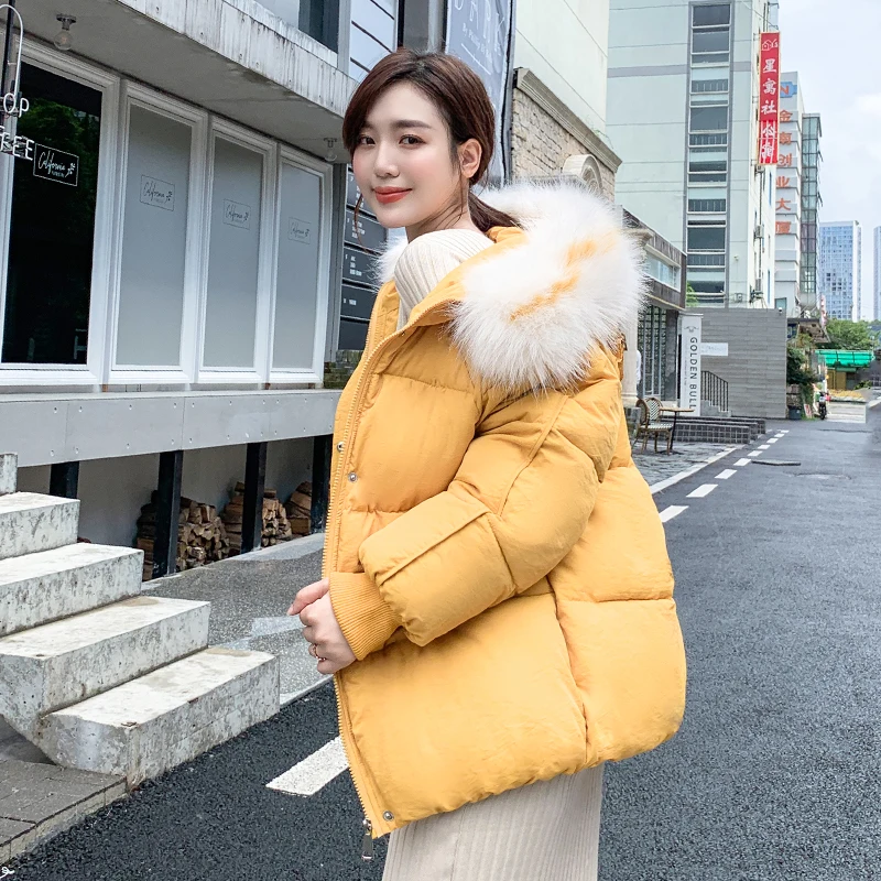 2019 Large Size Women's Short Jacket Female Bread Service Parka Hooded With Fur Collar Autumn Warm Cotton Stand-Up Coat | Женская