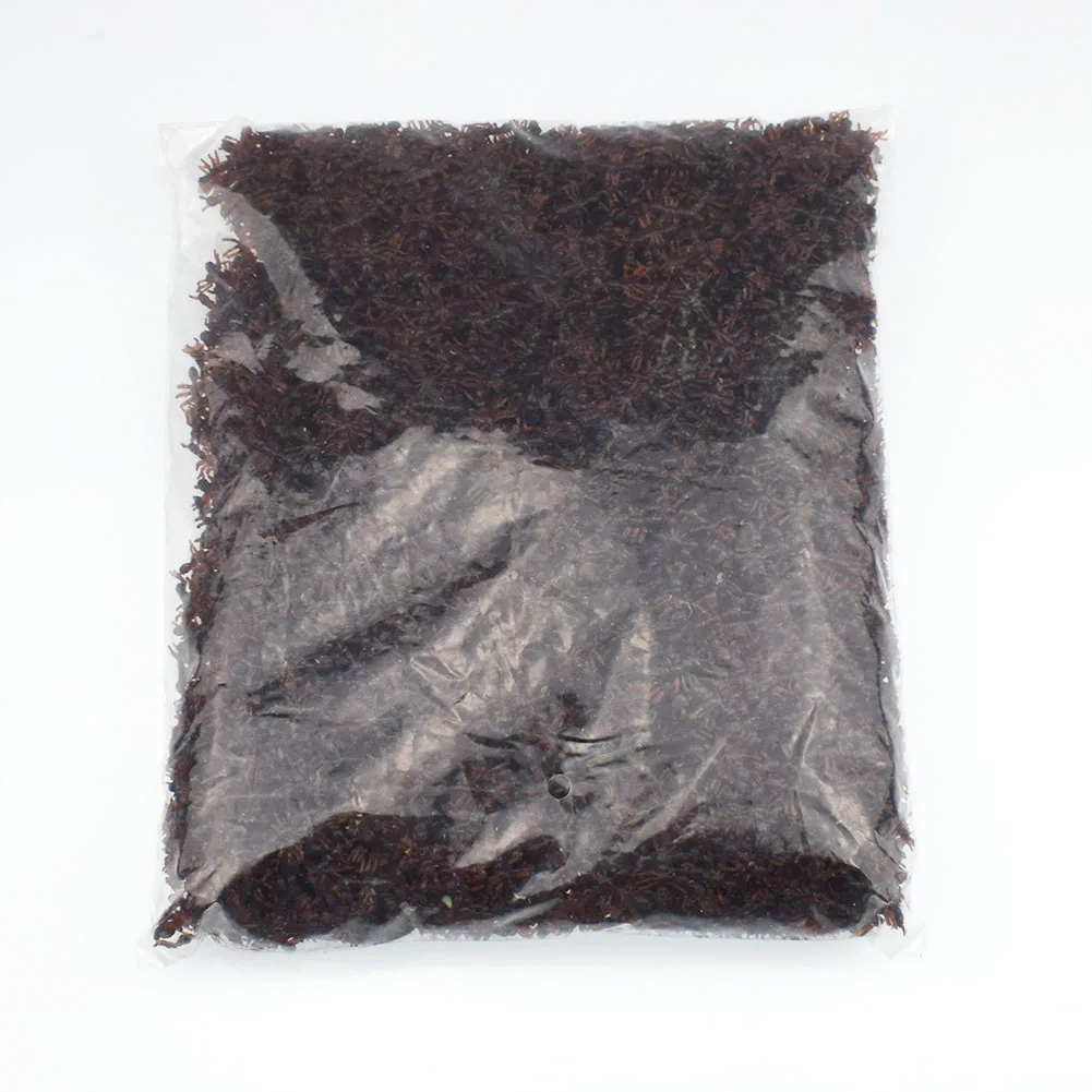 

The of Simulation ants Model Insect Bug Toy Wholesales Practical Gags Jokes Horror Halloween Props Tricks