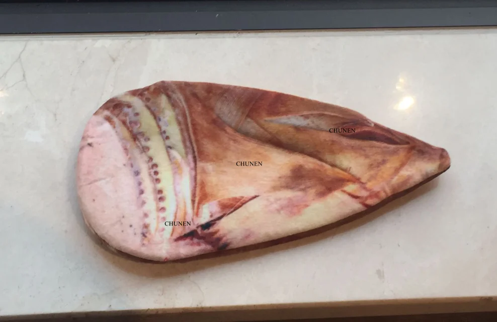 21-24 см прибл. Большой плюшевый Кошелек-овощи мясо и т. Д. Плюшевые игрушки кошелек