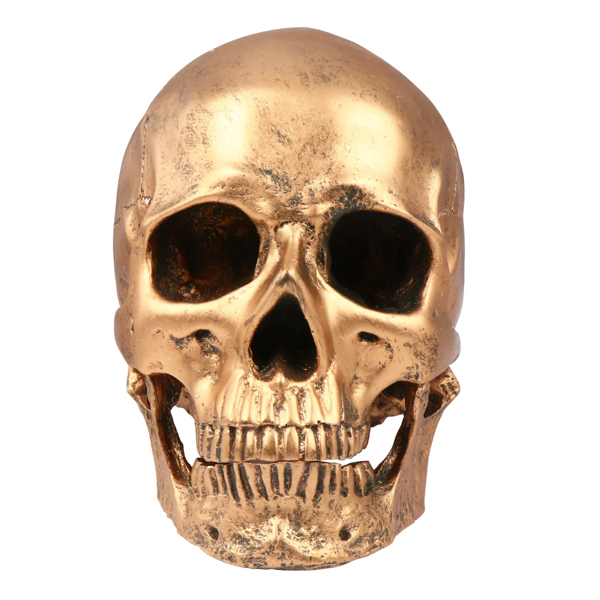 

Resin Model Realistic Model for Party Bar Decors