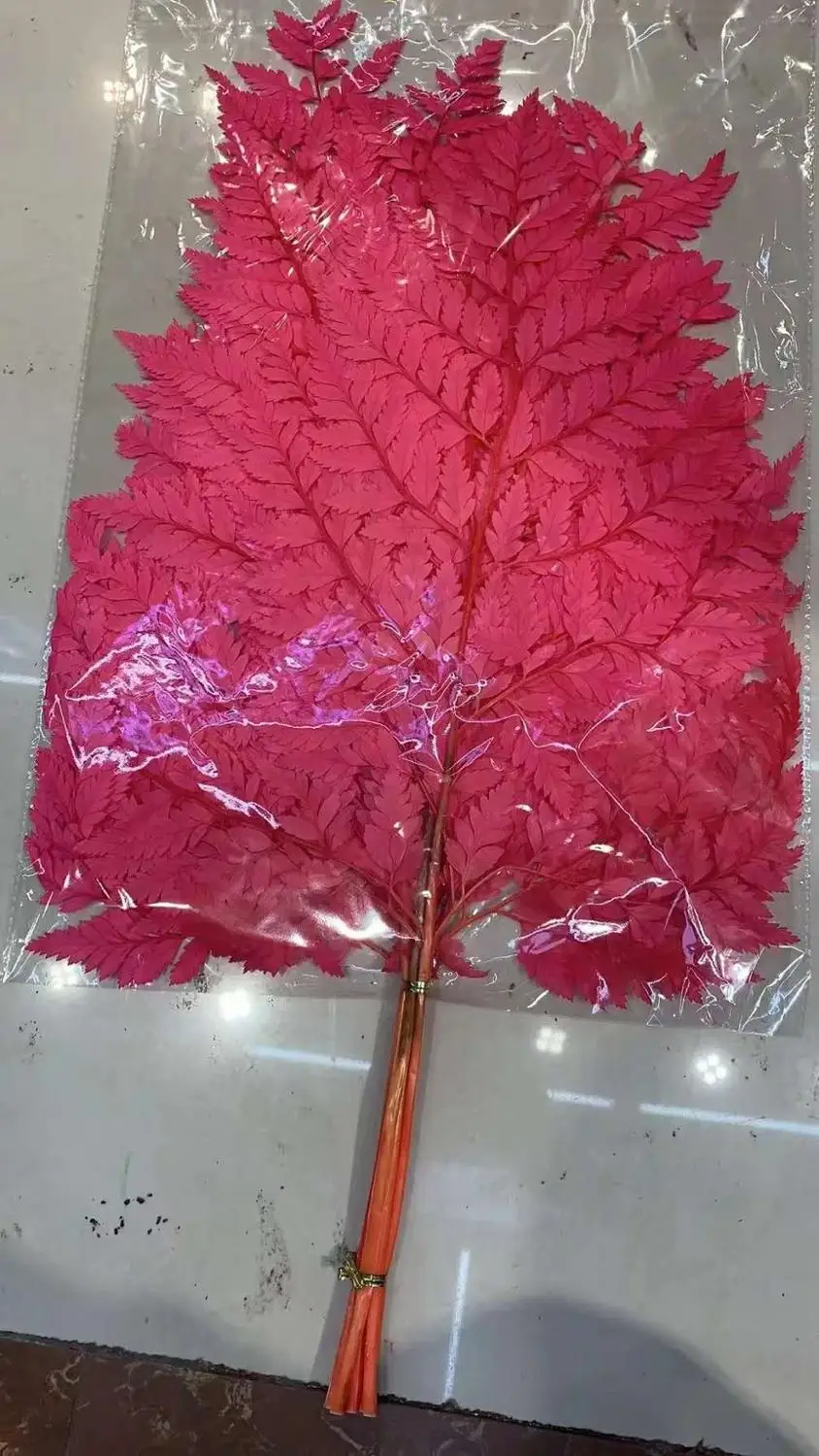 20 шт сохраненные листья папоротника сухие натуральные настоящие свежие горные