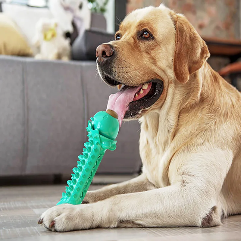 

Dog interactive water toy, pet tooth stick, food leak, tooth cleaning, dental stone removal, intelligent enhancement, training t