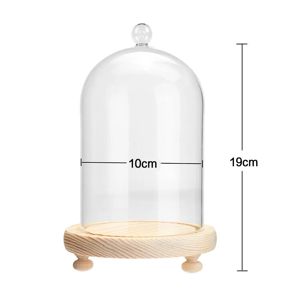 

10*19cm Clear Glass Display Dome Glass Dry Flower Vase Cloche Dome Jar Bell Display with Wooden Base for Christmas Gift