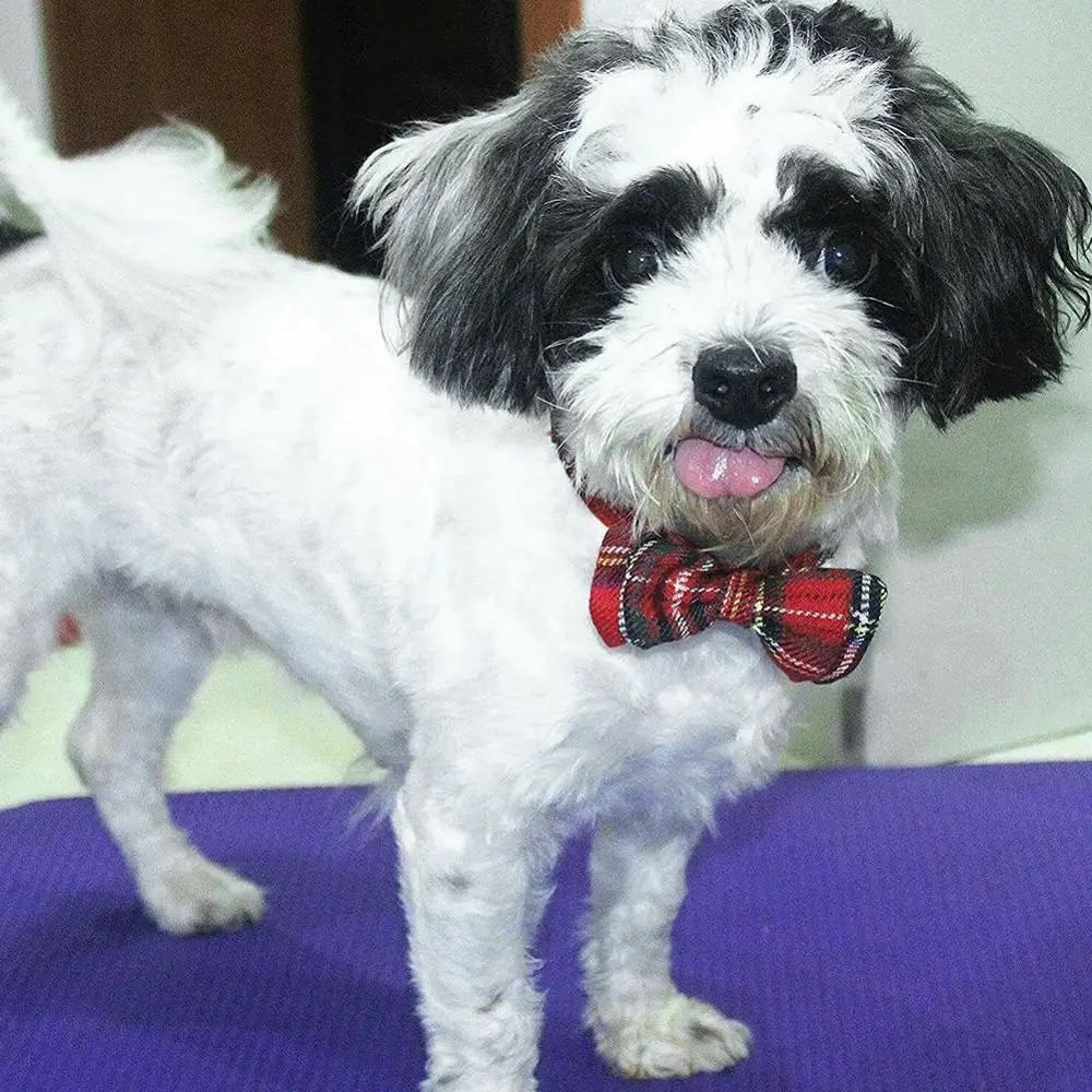 Ожерелье с цветными клетчатыми воротниками для кошек хлопковые полосатые