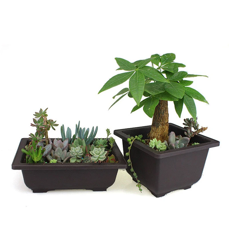 

Flower Pot Imitation Purple Sand Fleshy Balcony Square Plastic Pots Flower Bonsai Bowl PlateNursery Basin Planter With Tray