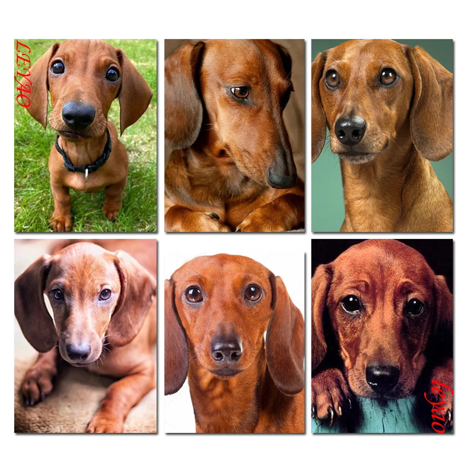 

Набор для алмазной вышивки «такса», картина Стразы с изображением животных, ручная работа, домашний декор