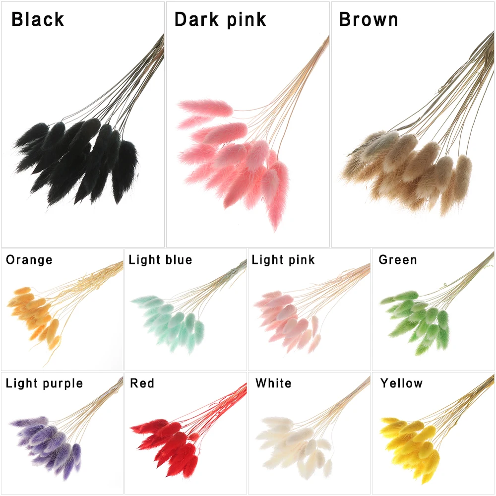20 шт. трава для высушенных цветов хвост кролика|Искусственные и сухие цветы| |