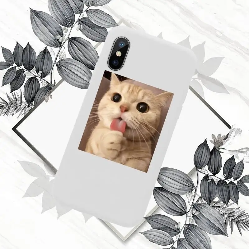 

Cute Cat Phone Case White Candy Color for iPhone 11 12 mini pro XS MAX 8 7 6 6S Plus X SE 2020 XR