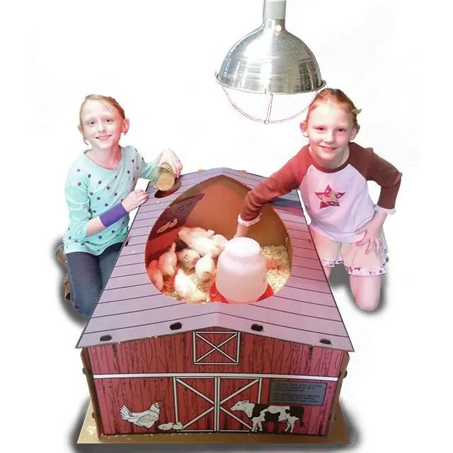 Incubadora de pollitos Menlo-0