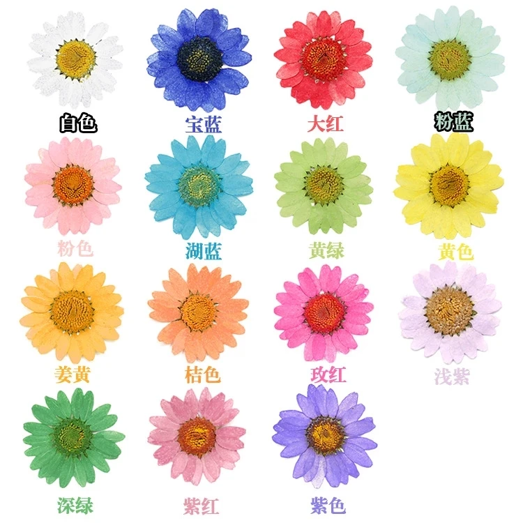

120pcs Pressed Press Dried Daisy Dry Flower Plants For Epoxy Resin Pendant Necklace Jewelry Making Craft DIY Accessories