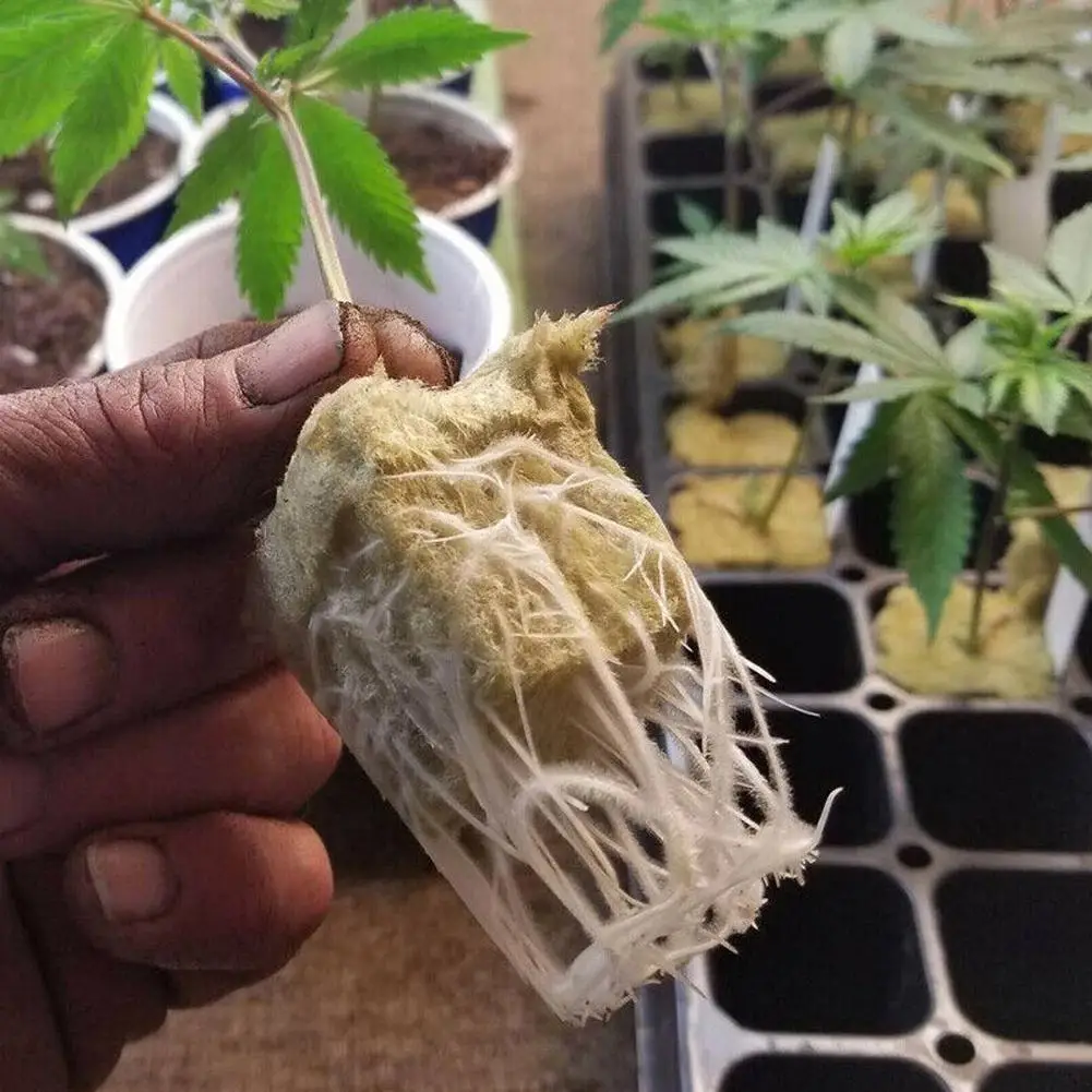 20шт поднос для рассады растительные волокна блоки грунта под рассаду садовый