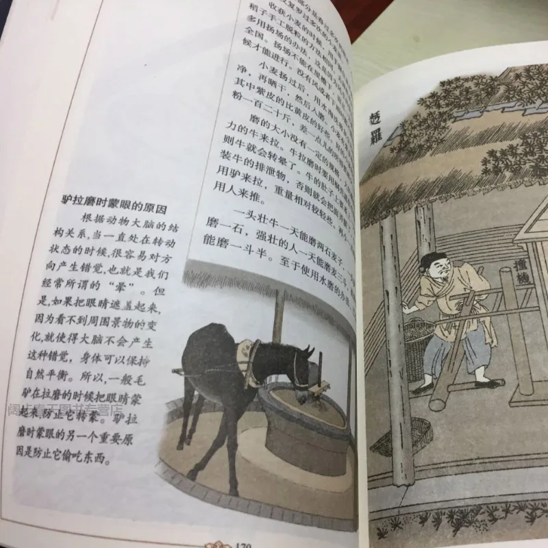 Рисунок 5 - Иллюстрация тиангун кайву