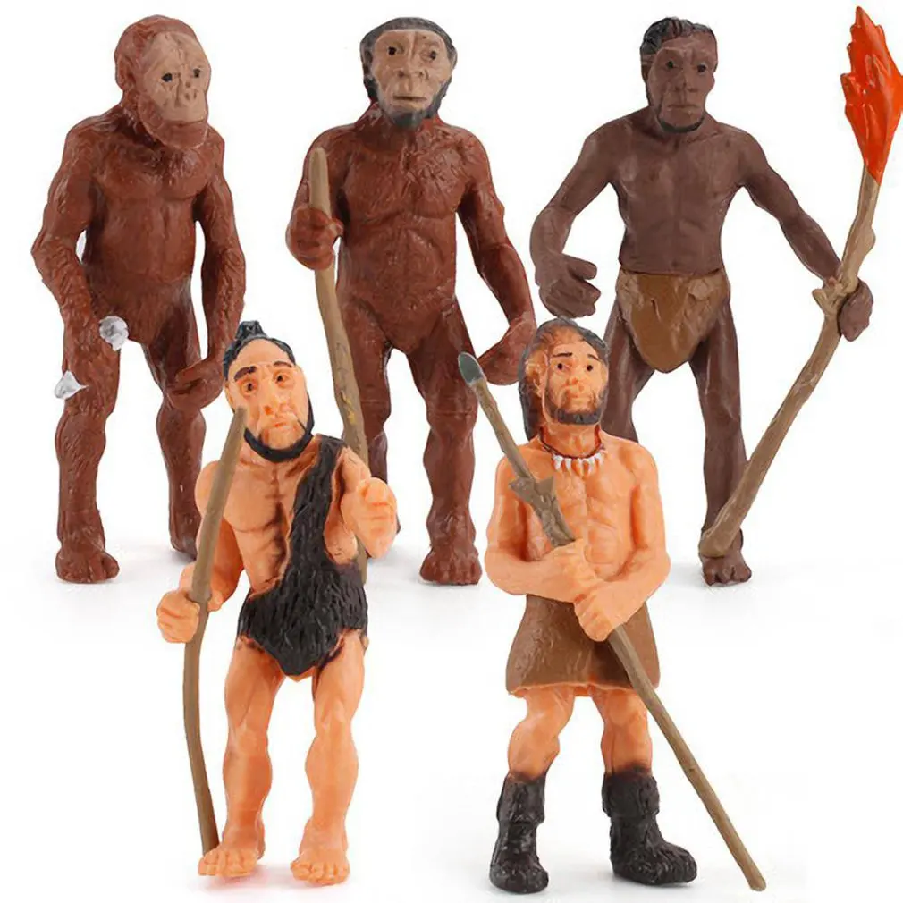 

5pcs/Set Human Evolutionary History Displays Figures Models Australopithecus To Homo sapiens Kids Educational Toys Gifts