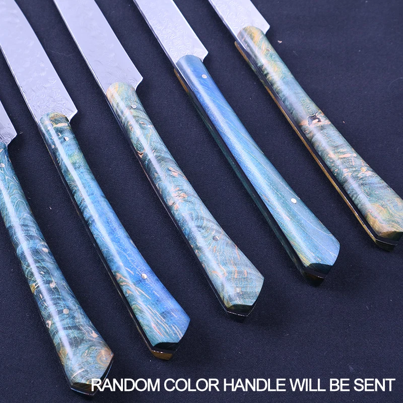 

Grandsharp 4 Pcs Steak Knife Sets vg10 Japanese High Carbon Stainless Steel Steak Utility Tomato Paring Damascus Kitchen Knives
