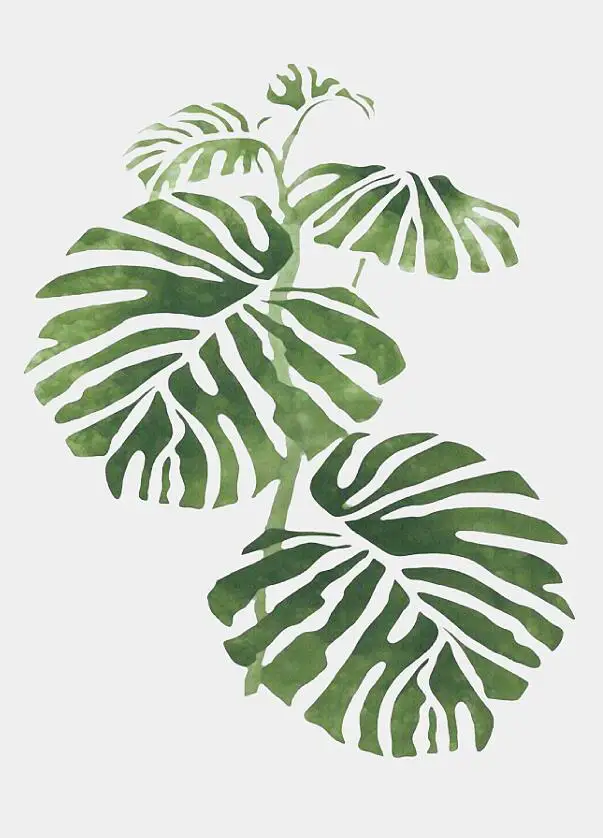 Monstera Deliciosa листья стены Искусство Холст Живопись зеленый стиль растение скандинавские плакаты и принты картина Современное украшение дома