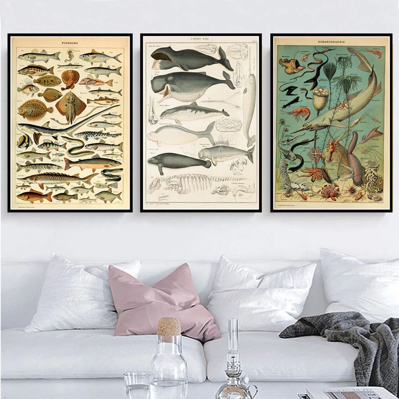 

Poster Prints Retro Ocean Sea Shell Fish Animal Vintage Life Chart Biology Painting Art Wall Pictures For Living Room Home Decor